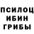Псилоцибиновые грибы Magic Shrooms Liza Poliashchenko