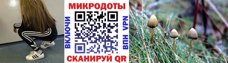 как найти закладки  Талица  Галлюциногенные грибы Magic Shrooms 
